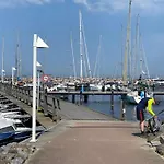 Kleine Robbe
