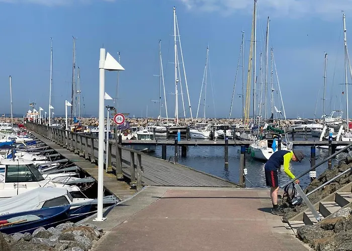 Kleine Robbe